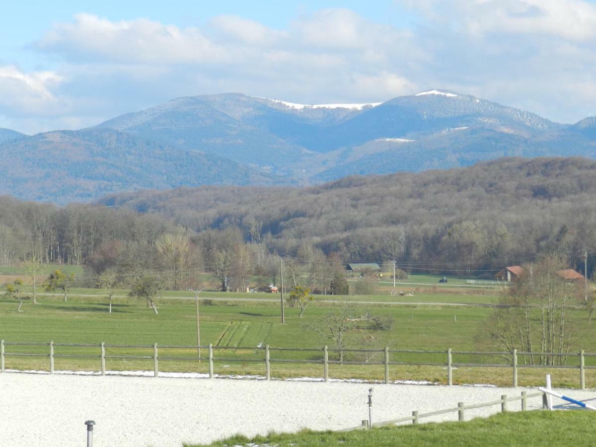 Oscar'S Home Soppe-le-Bas ภายนอก รูปภาพ