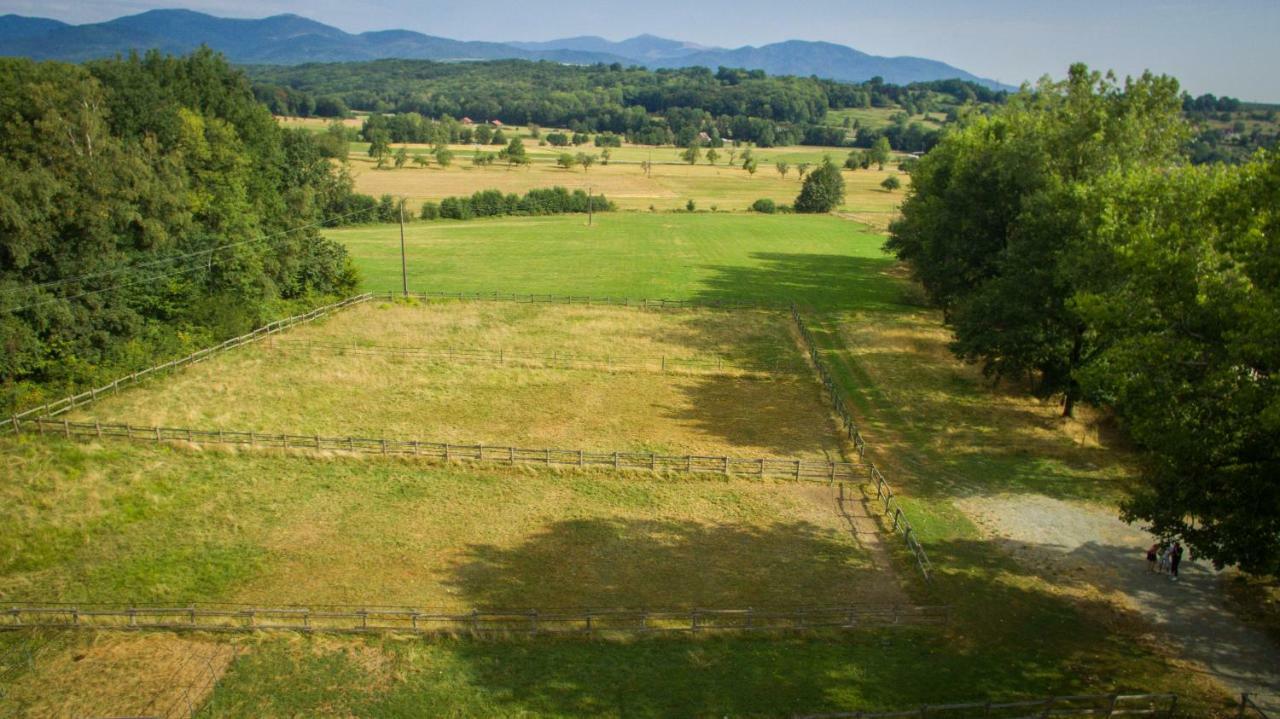 Oscar'S Home Soppe-le-Bas ภายนอก รูปภาพ