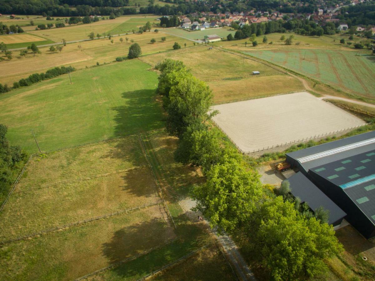 Oscar'S Home Soppe-le-Bas ภายนอก รูปภาพ