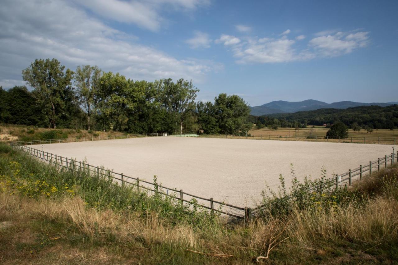 Oscar'S Home Soppe-le-Bas ภายนอก รูปภาพ